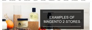 examples of Magento 2 stores running OneStepCheckout
